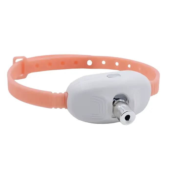 Colliers laser pour chat, accessoires pour animaux de compagnie, jouets pour chat pour soulager l'en