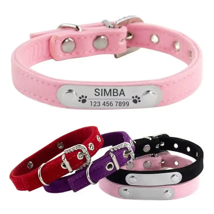 Collier de chat personnalisé en velours doux, collier pour chiot, accessoires pour petits chiens et