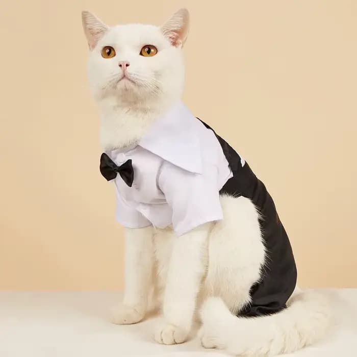 Costume occidental pour hommes pour chats, vêtements formels pour chats, Festival, mariage, Costumes