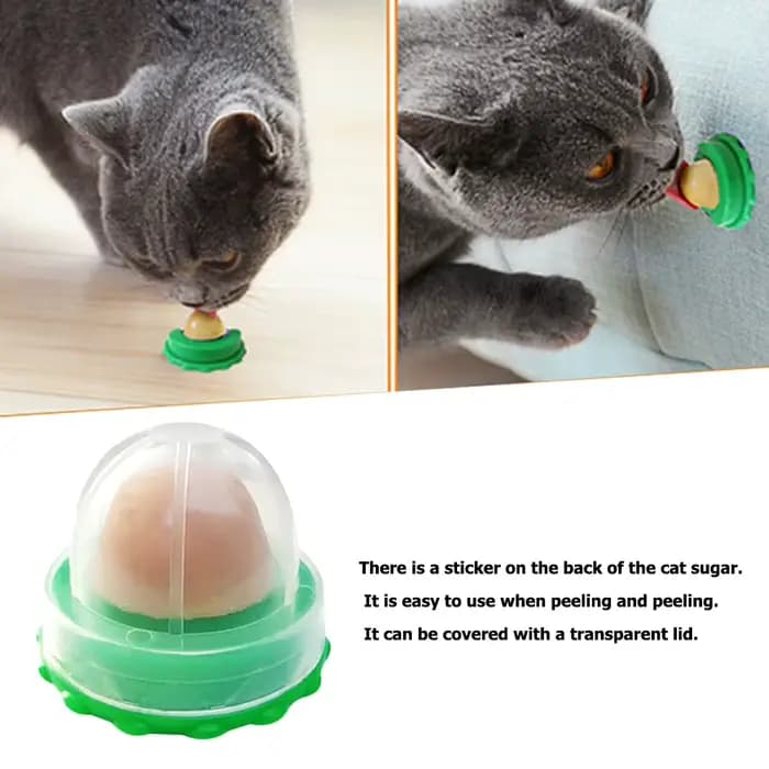 Bonbons léchant l'herbe à chat pour chaton, augmentation du sucre, boule d'énergie potable, collatio