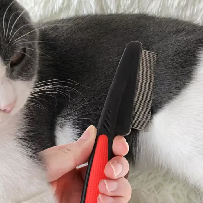 Brosse d'élimination des puces et des poux pour animaux de compagnie, peigne en acier inoxydable, ve