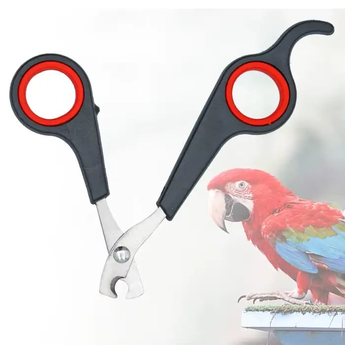 Animal de compagnie oiseau perroquet petits animaux accessoire outil de toilettage ciseaux à ongles