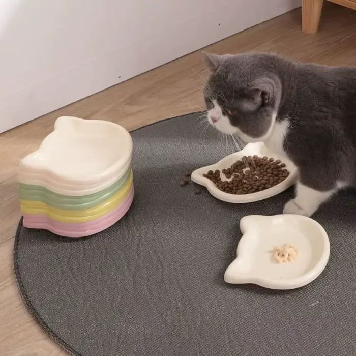 Bol pour chat domestique