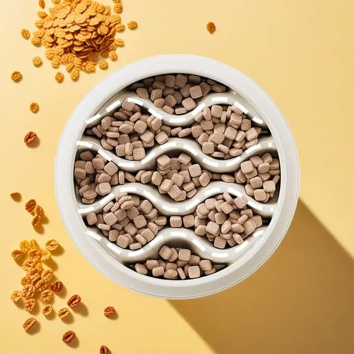 Ensemble de gamelles anti-éclaboussures pour chat : Double gamelle anti-éclaboussures – Plastique PP épais pour une alimentation sans désordre et la prévention des étouffements 