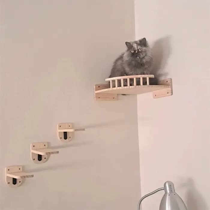Étagère d'angle pour chat avec 3 marches, ensemble de perchoirs muraux pour lit de chat, hamac pour dormir, escalade, grattage, meubles en bois pour animaux de compagnie