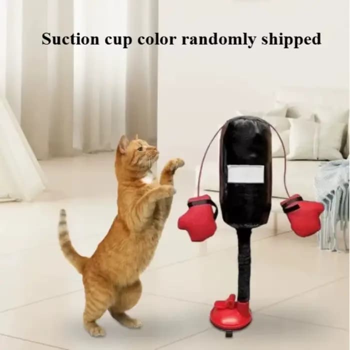 Jouet de sac de frappe pour chat de dessin animé avec gants de boxe et ventouse