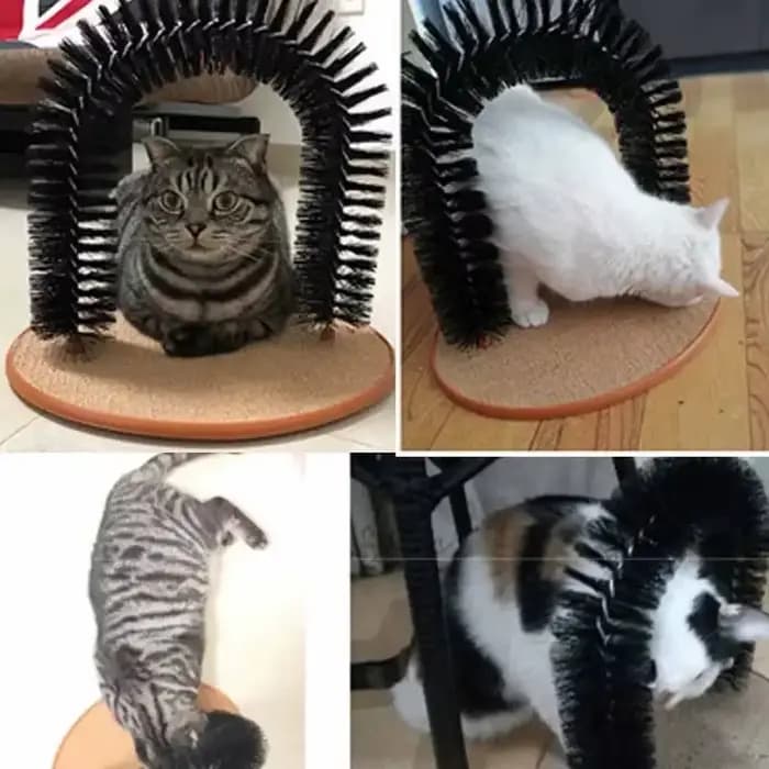 Arche de jeu pour chat avec brosse de massage et grattoir