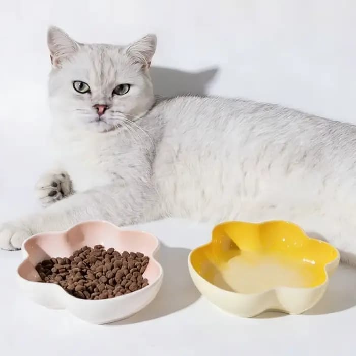 Bol en céramique créatif en forme de patte pour chat