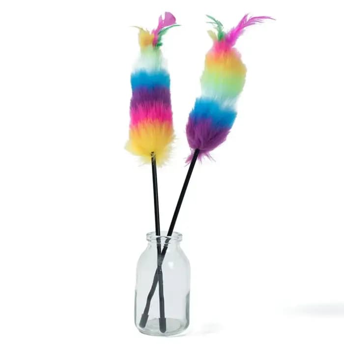 Baguette de teaser en plumes colorées