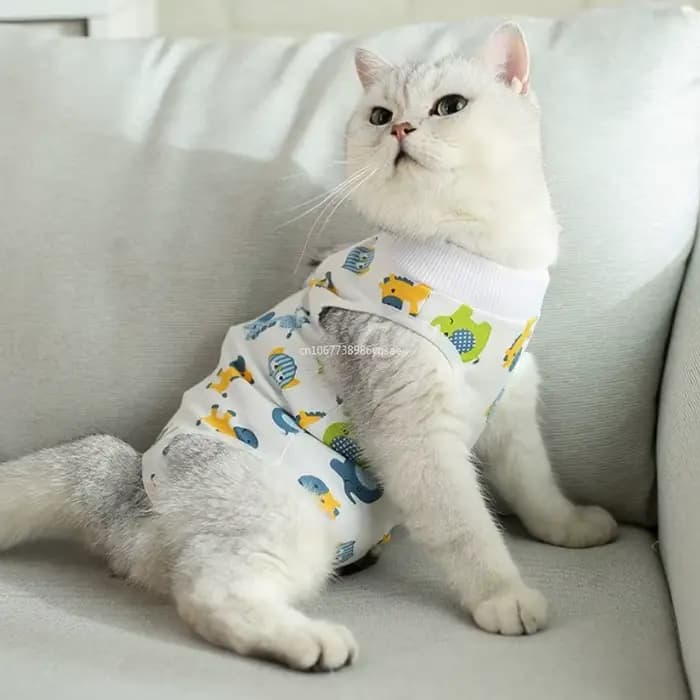 Combinaison chirurgicale pour chats