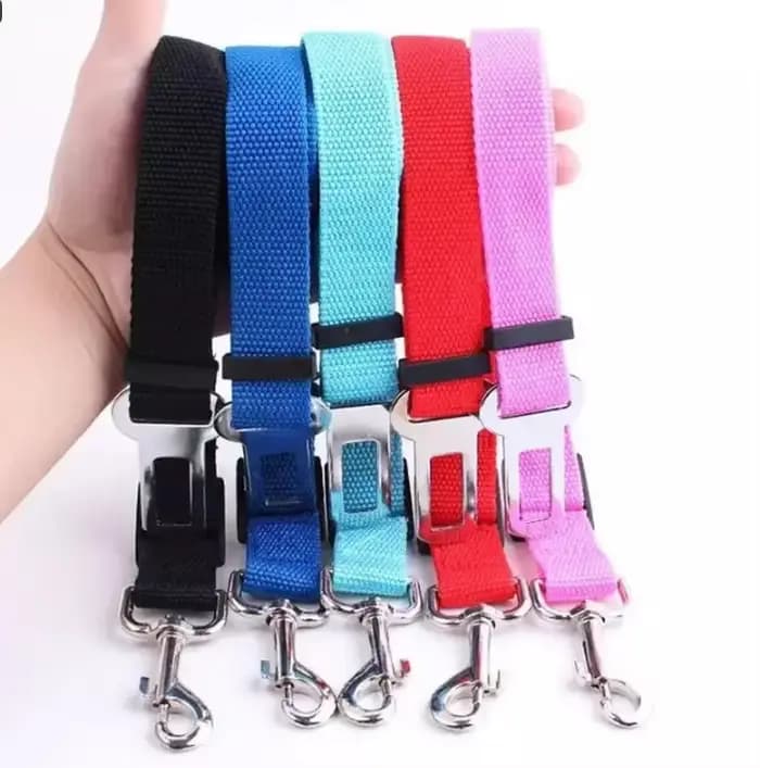 Harnais de sécurité pour chat et chien