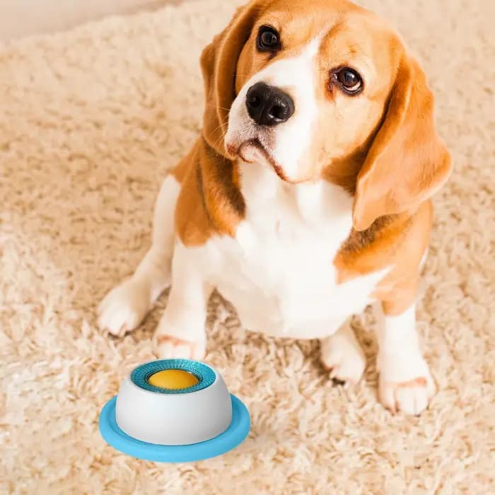 Jouets de léchage Anti-Tumble pour animaux de compagnie