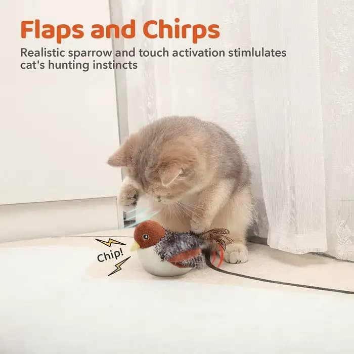 Jouets Interactifs en Peluche pour Chat