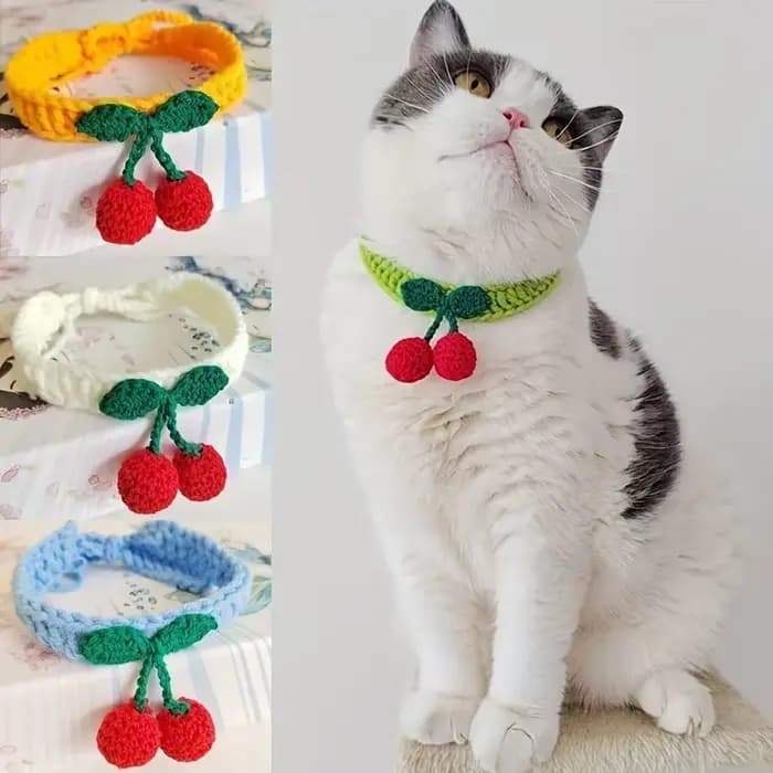 Collier pour animaux de compagnie