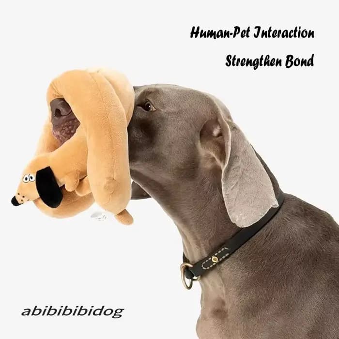 Peluche Teckel Longue et Moelleuse