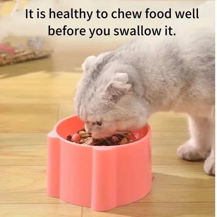 Gamelle pour chat, gamelle à riz