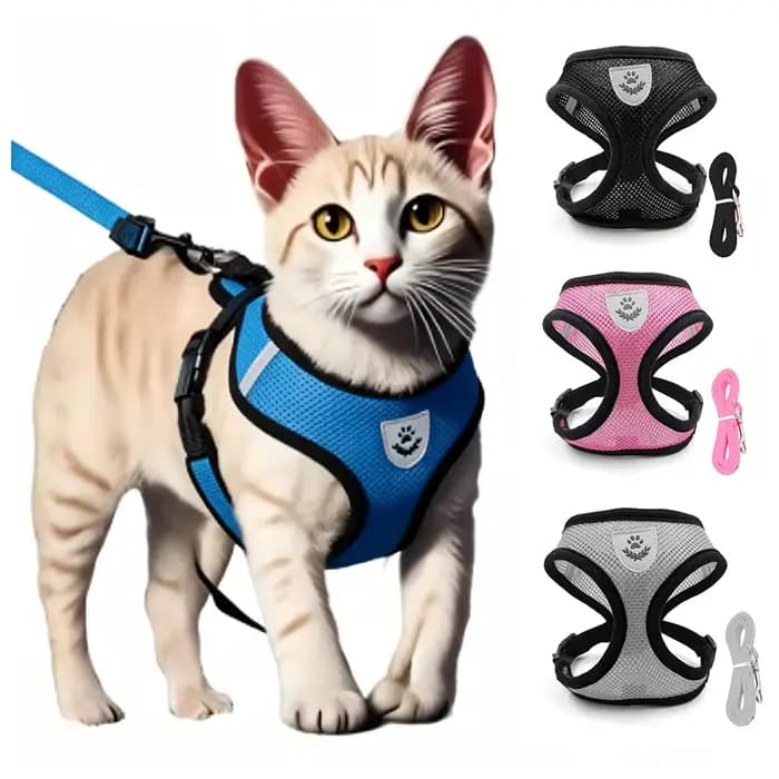 Harnais et laisse réglables de qualité supérieure pour chat