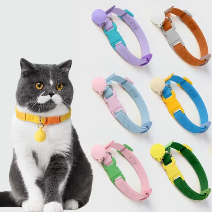 Collier de sécurité pour chat