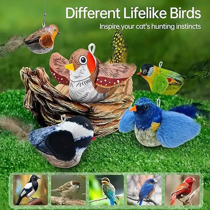 Jouet interactif d'intérieur pour chat, oiseaux sonores avec herbe à chat, pour la poursuite et le chatouillage, jouet mural auto-amusant pour chat