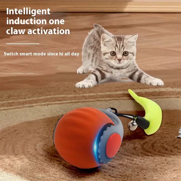 Balle taquine pour chat