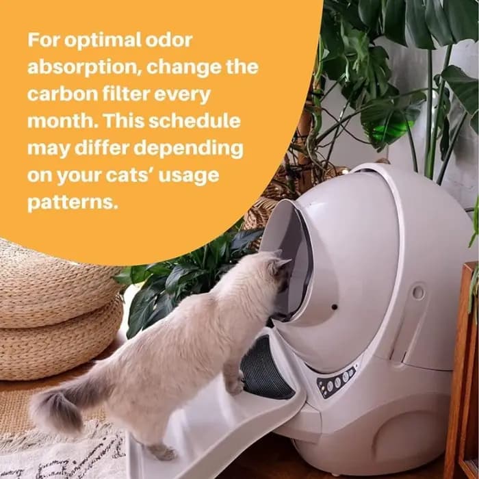 Filtre de bac à litière pour chat