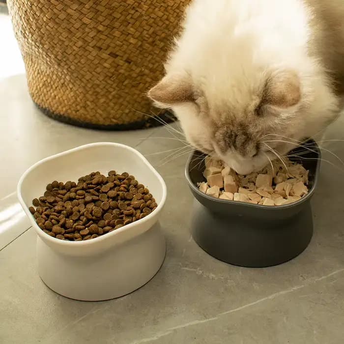Bols en céramique à pied haut pour animaux de compagnie