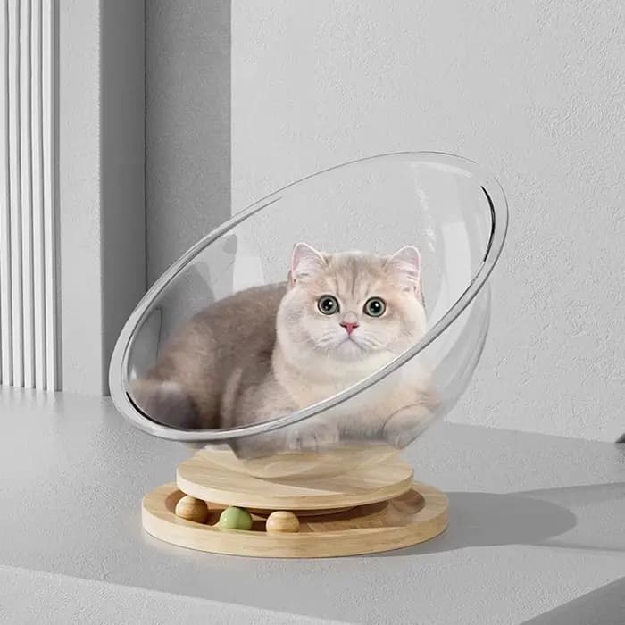 Liquidation : Cabine Spatiale pour Chat