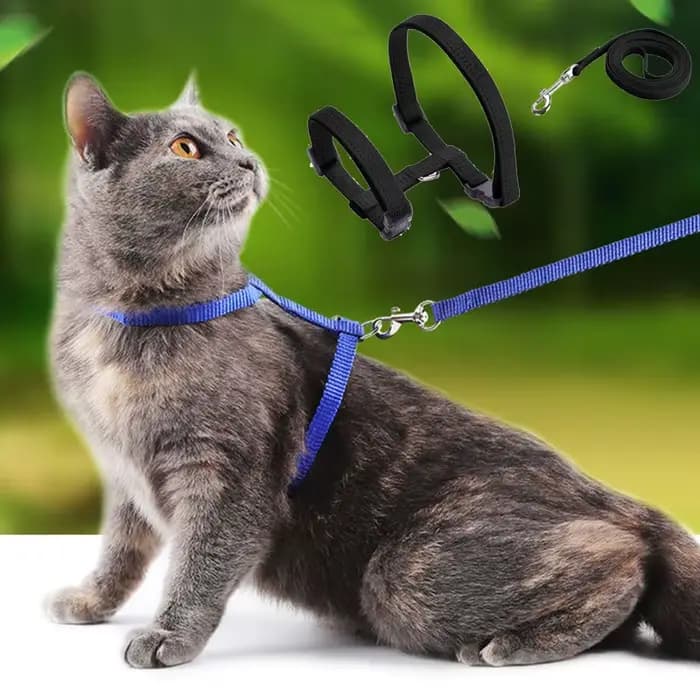 Collier réglable pour animaux de compagnie