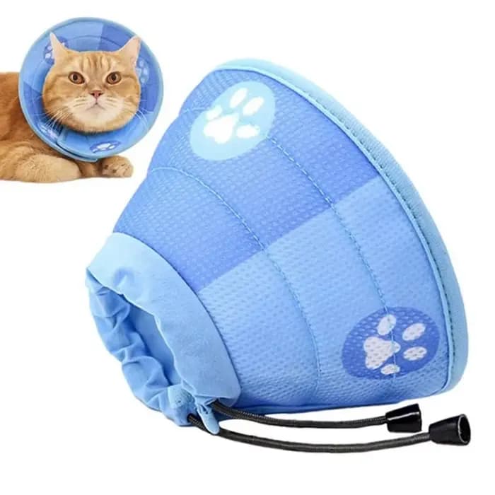 Collier de protection réglable anti-morsure pour chat