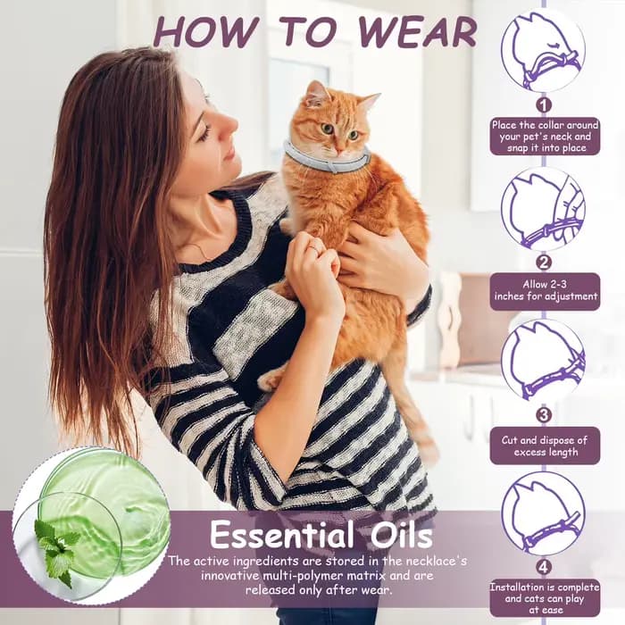 Collier apaisant pour chat
