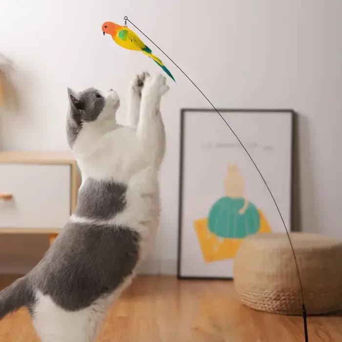 Jouet interactif pour chat en forme de paon avec clochette
