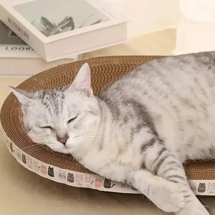 Griffoir pour chat en forme de bol