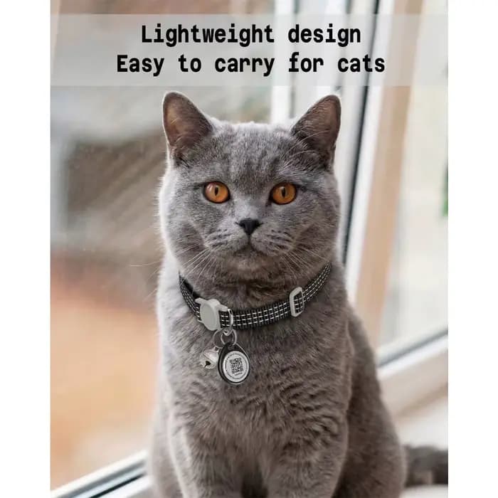 Collier pour chat avec code QR anti-perte et étiquette nominative