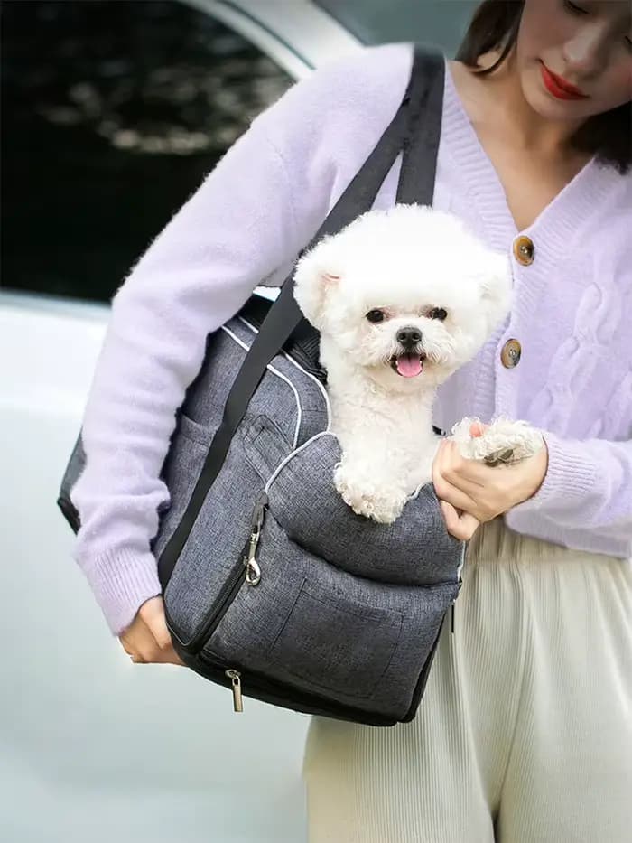 Maison chat accessoires Portable chien