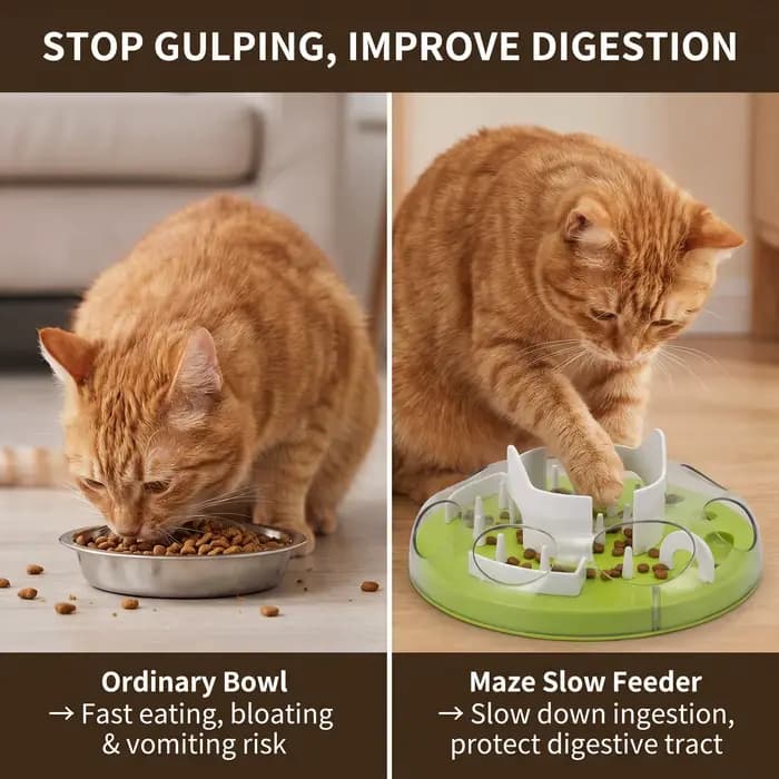 Jouet interactif pour chat