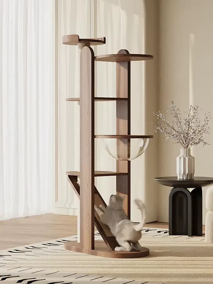 Cadre d'escalade pour chat