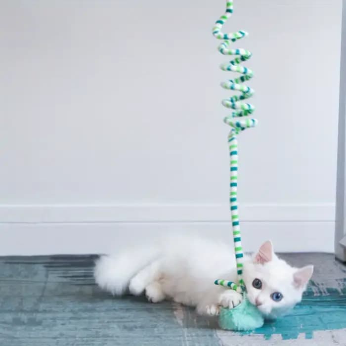 Chat interactif suspendu Simulation
