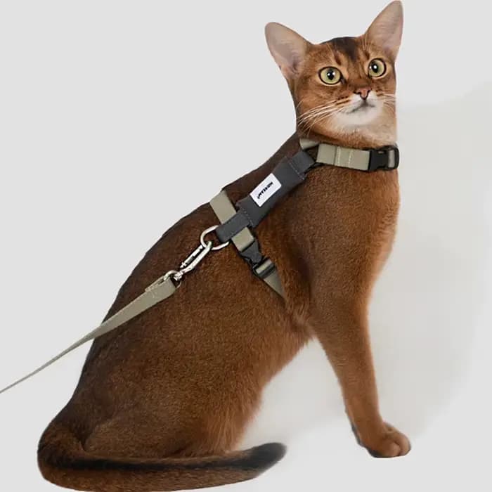 Harnais et laisse anti-évasion en forme de I pour chat HiDREAM – Contrôle facile sans étranglement pour la promenade en extérieur – Gilet anti-torsion pour chats