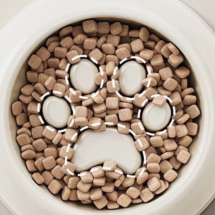 Bol d'alimentation lente pour chat