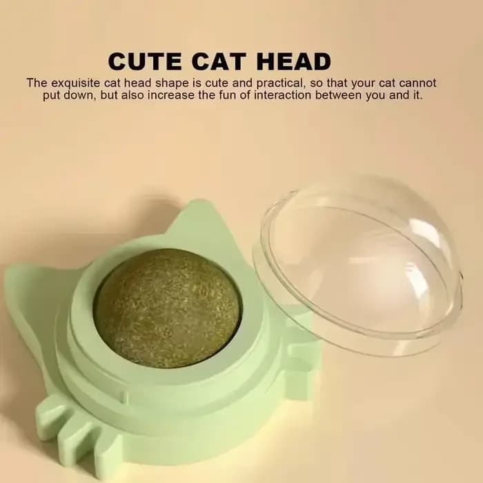 Boules d'herbe à chat, jouets à mâcher dentaires amusants et léchables pour chatons