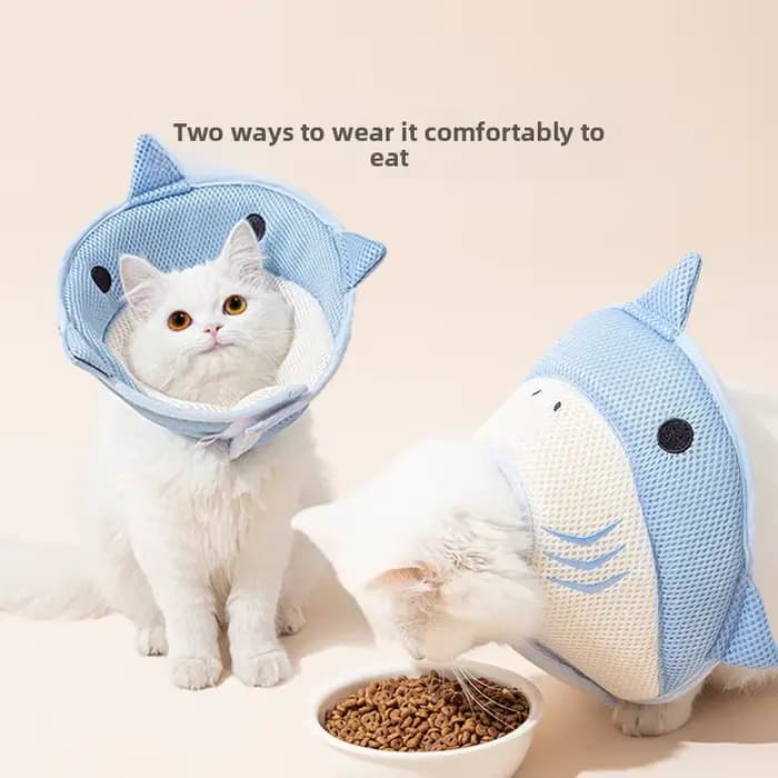 Collier cône pour chat