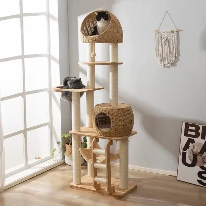 Arbre à chat en bois massif