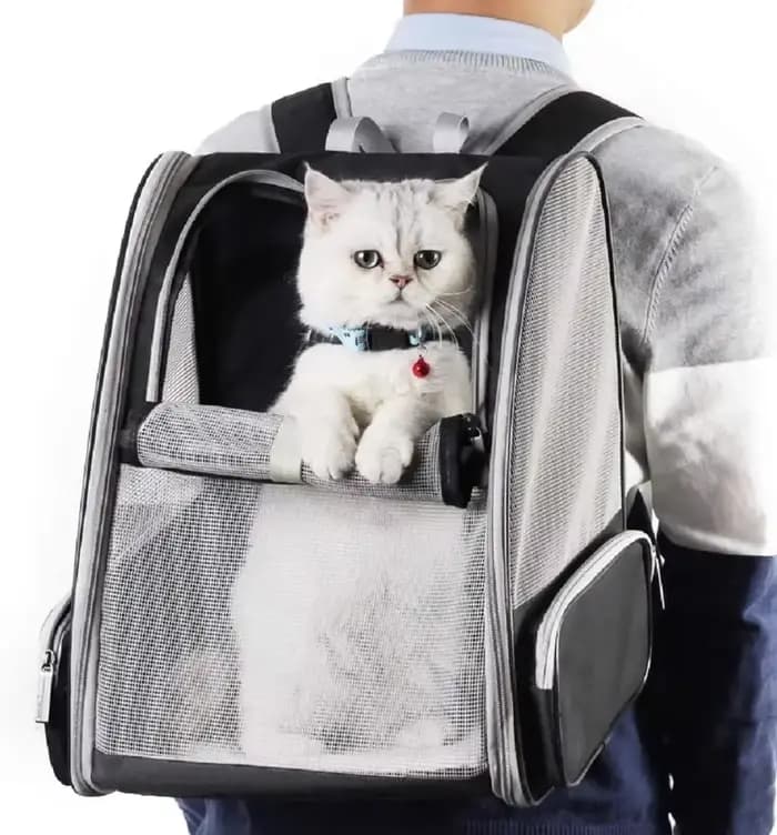 Sac de Transport pour animaux de compagnie