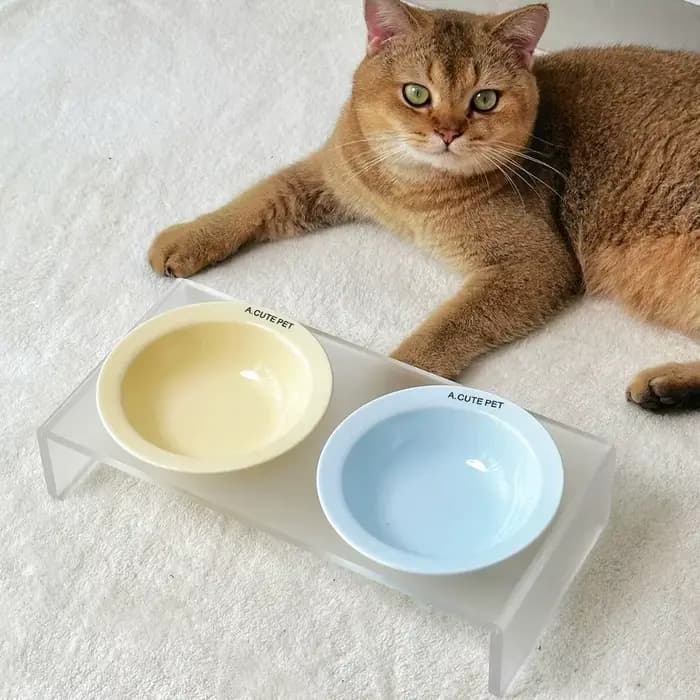 Bol surélevé en céramique pour chat