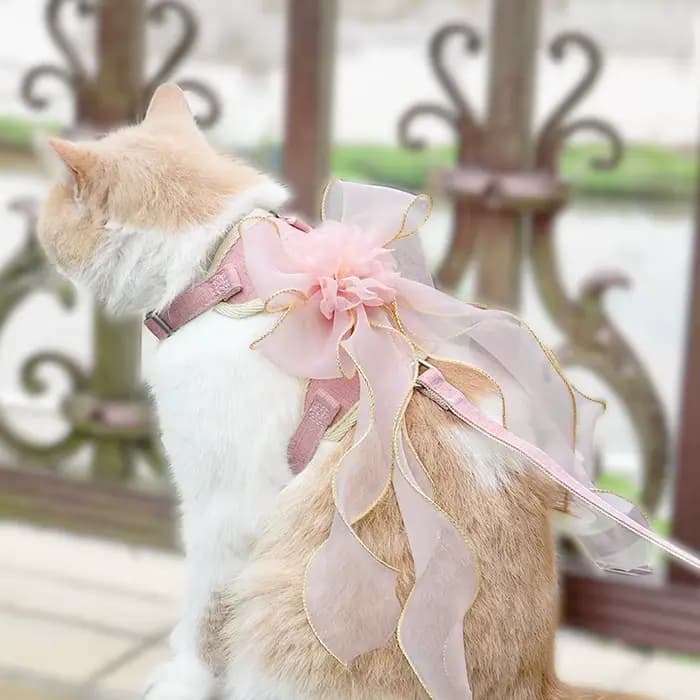 Ensemble laisse et harnais pour chat avec nœud papillon