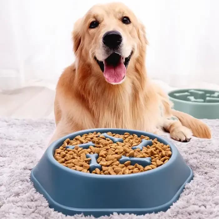 Produit pour animaux de compagnie bol de nourriture