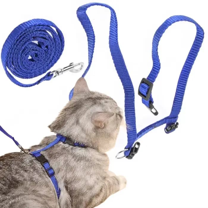 Laisse harnais pour chat