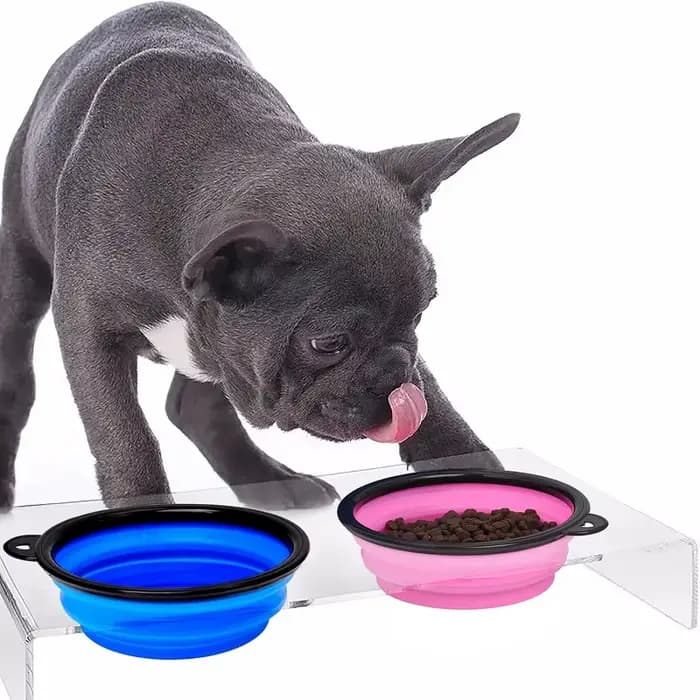 Mangeoire Portable Pliante en Silicone pour Chien et Chat