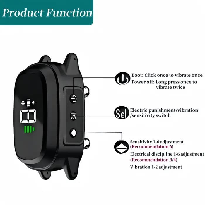 Collier d'entraînement automatique pour chat adapté aux chats et aux chatons
