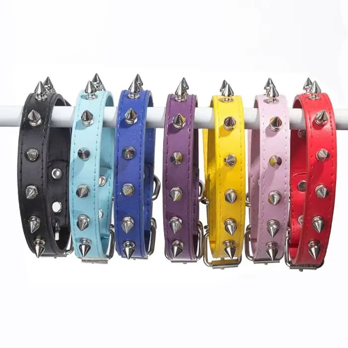 Collier en cuir confortable pour chien et chat